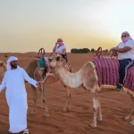 An evening desert safari company guide leading two tourists on camels through the desert.