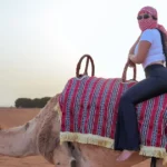 A traveler comfortably enjoying a guided camel ride at sunset, wearing a traditional keffiyeh for an authentic desert experience at a cultural camp.